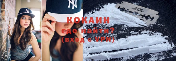 ешки Бородино