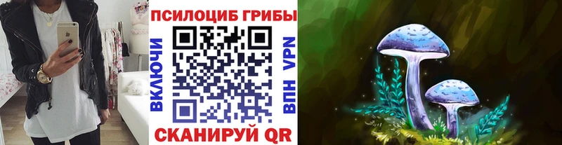 Галлюциногенные грибы Psilocybe  Сочи 